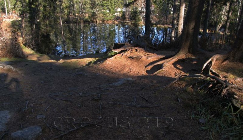 Apartmán Crocus 219 - Štrbské Pleso Vysoké Tatry